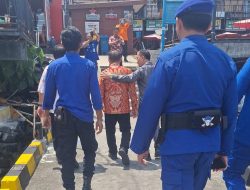 Buaya Raksasa Berkeliaran Mengintai Warga Manado, Team Penjinak Ketar-Ketir