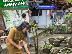 SMKN 1 Amurang Dukung Program Ketahanan Pangan Nasional Lewat Pemanfaatan Lahan Sekolah