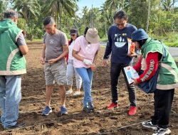 Pemkab Mitra bersama Penyuluh Kementerian Pertanian Tanam Jagung