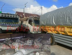 Polda Sulut Police Line Tiga Truk Bermuatan Batu Hitam Diduga Ilegal