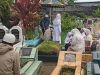 Berziarah dan Membersihkan Makam Jadi Tradisi Jelang Ramadan