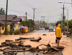 55 Rumah Terendam, Banjir Lumpur dan Kayu di Desa Bakan Terulang Lagi
