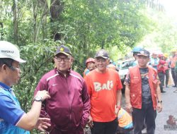 Sinergi PLN dan Pemkab Minsel, Wabup Kawatu Tinjau Penertiban Pohon di Jalur Rawan