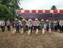 Polresta Manado Lakukan Penanaman Jagung Raya Serentak di Empat Lokasi