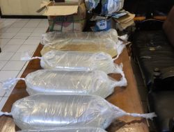 Polsek Pelabuhan Manado Gagalkan Penyelundupan 75 Liter Cap Tikus