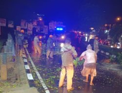 Gerak Cepat Polsek Mapanget Tangani Pohon Tumbang di Kairagi Satu, Lalu Lintas Kembali Lancar