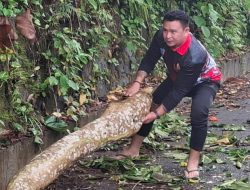 Mario Pundoko SE, Lurah Paal 2 Yang All Out Layani Kepentingan Warga