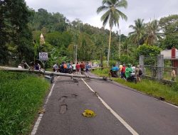 Tiang Listrik Roboh di Desa Lindangan, Camat Tompasobaru Imbau Warga Waspada Saat Melintas