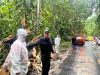Akses Menuju Hapsa WKI GMIM Jadi Prioritas,  Bupati FDW Turun Tangan Pastikan Jalur Aman