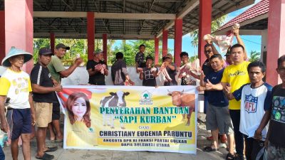 Penyaluran bantuan sapi kurban dari Anggota DPR RI Fraksi Partai Golkar, Christiany Eugenia Paruntu. (ist)