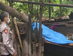 Polsek Pineleng Bersama Polresta Manado Amankan TKP Penemuan Mayat di Gubuk Kebun Desa Kali Selatan