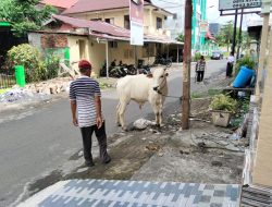 Menteri ATR/BPN dan Anggota Vl BPK RI Sumbang Hewan Kurban untuk NU Sulut