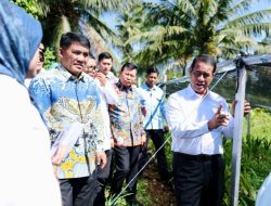 Mentan Puji Kepemimpinan Gubernur Yulius Selvanus, Bantu Bibit Jagung 15 Ribu Hektare