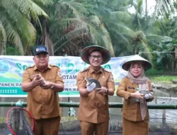 Wakil Walikota Hadiri Panen Perdana Program Ketahanan Pangan Bidang Budidaya Ikan Air Tawar