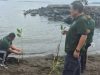Hadiri Peringatan Hari Lingkungan Hidup Sedunia Niklas Silangen Tanam Mangrove di MBW