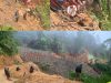 Dua Warga dan Satu Unit Excavator Tertimbun Longsor, Patahan Dampingan Tambang Emas PT BDL Diduga Jadi Penyebab
