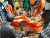 Inilah Foto-Foto Korban Longsor Patahan Dampingan PT BDL Saat Ditemukan