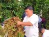 Gubernur Yulius Turun Langsung Bersih-bersih di Kawasan Fesbudaton, Komitmen Jadikan Destinasi Wisata Baru