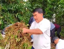 Gubernur Yulius Turun Langsung Bersih-bersih di Kawasan Fesbudaton, Komitmen Jadikan Destinasi Wisata Baru