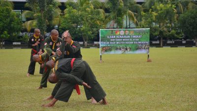 Uji Kenaikan Tingkat (UKT) Sabuk Hitam Pencak Silat Militer (PSM) yang diikuti 62 prajurit di Lapangan Makodam XIII/Merdeka, Rabu (8/7/2026).