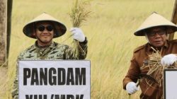 Pangdam XIII/Merdeka Mayjen TNI Mirza Agus, S.I.P., menghadiri Panen Raya Padi Serentak Program Ketahanan Pangan TNI di Desa Tapadaka Timur, Kecamatan Dumoga, Kabupaten Bolaang Mongondow, Selasa (14/7/2026).
