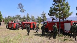 Kebakaran hutan yang melanda kawasan Hutan Lindung Gunung Soputan, Kabupaten Minahasa Tenggara, masih belum berhasil dipadamkan hingga Senin (3/8/2026).