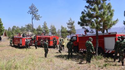 Kebakaran hutan yang melanda kawasan Hutan Lindung Gunung Soputan, Kabupaten Minahasa Tenggara, masih belum berhasil dipadamkan hingga Senin (3/8/2026).