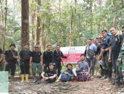 Operasi Gabungan Sasar PETI di TNBNW, Sita Peralatan Tambang Ilegal