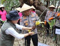Jaga Ekosistem Pesisir, Kapolda Sulut Bersama Bhayangkari dan Walikota Manado Tanam Mangrove di Bunaken